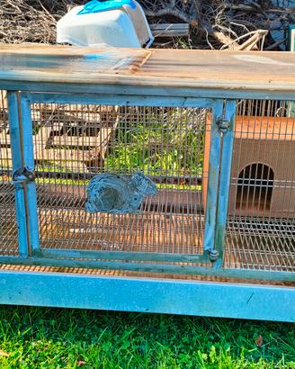 gabbia grande per conigli o criceti