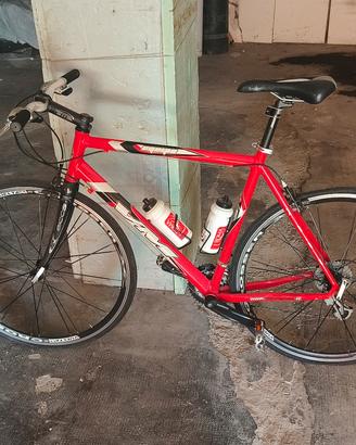 Bici Urban-Sport Velomarche Equipe Special
