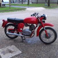 Moto Guzzi Altro modello - 1954