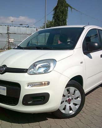 Fiat Panda 1.2 Pop*PREZZO VERO SENZA VINCOLI*