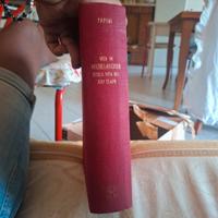 Vita di Michelangiolo nella vita del suo tempo