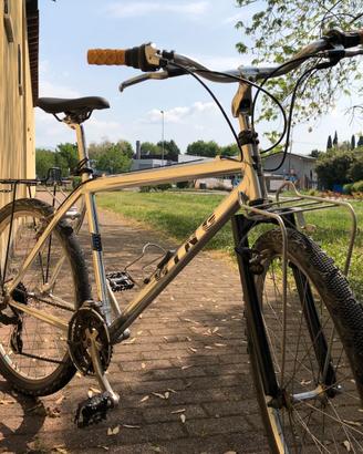 Mountain Bike, Wing, anni 90