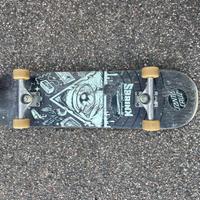 Skateboard professionale