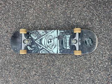 Skateboard professionale