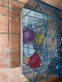 Gabbia per criceti/ scogliattoli