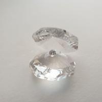 Conchiglia Swarovski con perlina