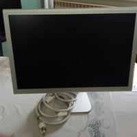 Monitor display Apple cinema a1081 20 pollici