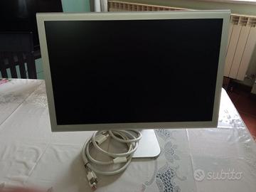 Monitor display Apple cinema a1081 20 pollici