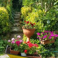 Terreno a Monterotondo