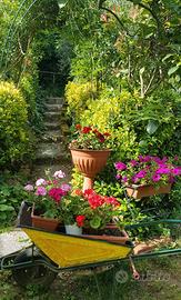 Terreno a Monterotondo