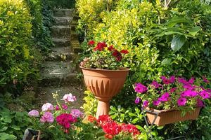 Terreno a Monterotondo