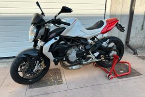 MV Agusta Brutale 800