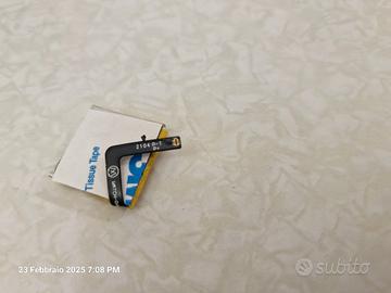 Batteria amazfit gts