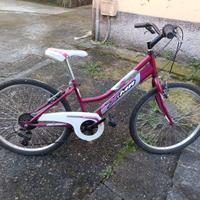 Bicicletta 24