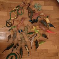 Dinosauri plastica dura