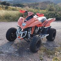 Ricambi dinli 450 dmx (901)