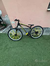 Bici Fanini FRX610