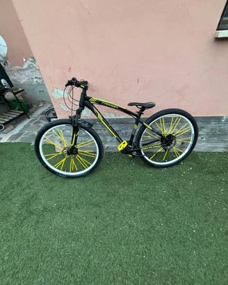 Bici Fanini FRX610