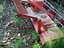 Immagine 2