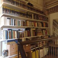 Collezione Dylan Dog