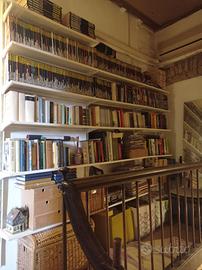 Collezione Dylan Dog