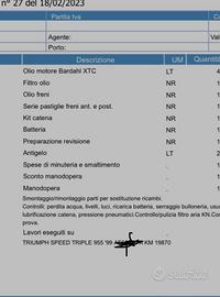 Triumph Speed Triple 955i - 1999