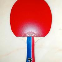 Racchetta ping pong professionale completa