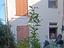 Immagine 25