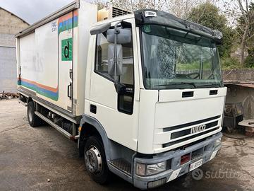Iveco eurocargo 80E18 con cella frigo