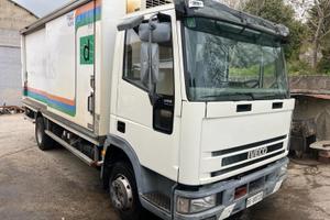 Iveco eurocargo 80E18 con cella frigo