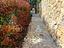 Immagine 29