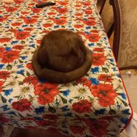 Pelliccia di visone con cappello