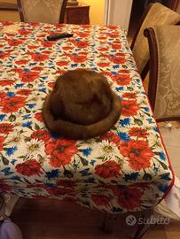 Pelliccia di visone con cappello