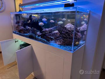 Acquario 