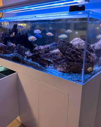 Acquario 