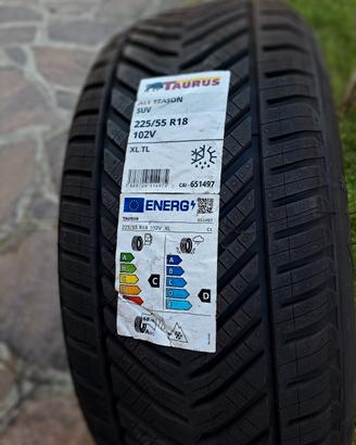 Gomme auto 225/55 R18 all season