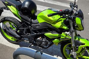 benelli bn 125 2022
