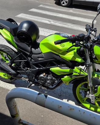 benelli bn 125 2022