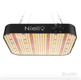 Lampada piante