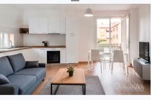 LOFT AD. METRO A- in zona ANAGNINA