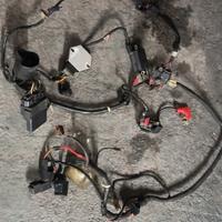 Impianto elettrico scooter Honda jazz 2003