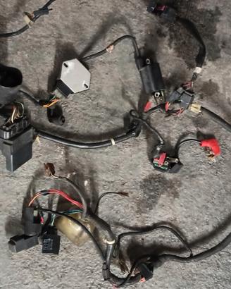 Impianto elettrico scooter Honda jazz 2003