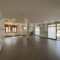 Magazzino Selvazzano Dentro [11439ACG]