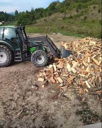 legna da ardere 