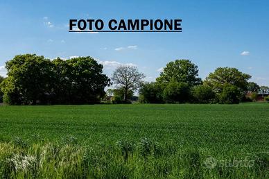 Terreno di 9000 m² a Lonigo