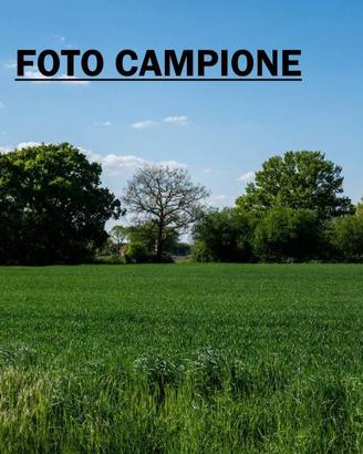 Terreno di 9000 m² a Lonigo