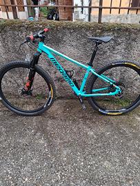 megamo mtb 29