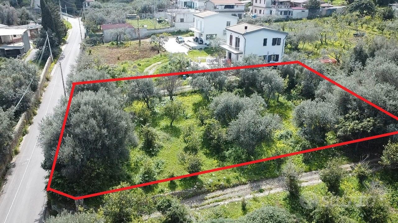 Terreno agricolo pianeggiante - Vista 2