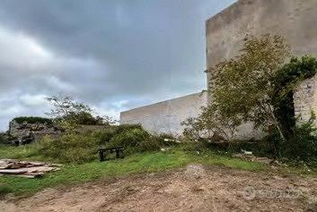 RGE 209/2021 Trib Tempio Pausania - LOTTO 5