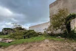 RGE 209/2021 Trib Tempio Pausania - LOTTO 5